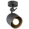 Argon Alabama 1L - reflektorek - lampa sufitowa