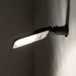 Pathway led pro head 10641